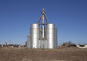 Wilson Texas Grain Silos