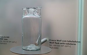 Wolf flask with tubulures, 19th-20th century - Museu da Ciência da Universidade de Coimbra - University of Coimbra - Coimbra, Portugal - DSC09117.jpg