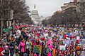 Women's March on Washington (32593123745)