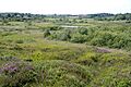 A view across Cors Goch, Anglesey, Wales