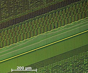 Aufnahme einzelner Magnetisierungen gespeicherter Bits auf einem Festplatten-Platter.
