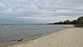 Bay City State Park beach