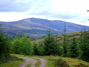 Beinn Bhan from Loch Arkaig woods