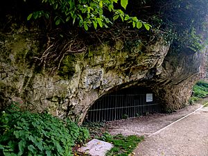 Boat House Cave, Creswell Crags, Notts (4)