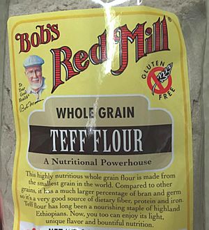 Bob's Red Mill Whole Grain Teff Flour