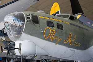 Boeing B-17G Flying Fortress - Flickr - p a h (3)