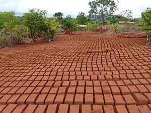 Brick production in Songea, Tanzania