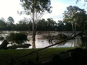 Brisbane River at Jindalee