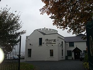 Bruce college