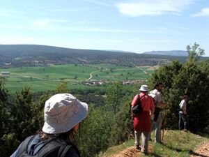 Camino senderista