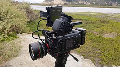 Canon EOS C700 MultiDyne by D Ramey Logan