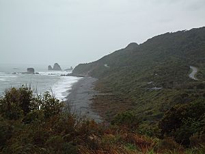 Cape Foulwind, NZ - Near the Seal Colony
