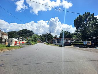 Carretera PR-663, Arecibo, Puerto Rico