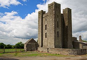 Castles of Leinster- Dunsoghly, Co. Dublin (geograph 2496350).jpg