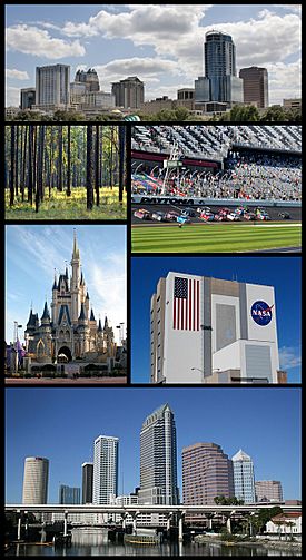 Central Florida Images top from bottom, left to right: Orlando Skyline, Ocala National Forest, Daytona International Speedway, Walt Disney World, Kennedy Space Center, Tampa Skyline