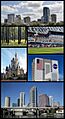 Central Florida Collage