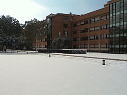 Centro de legionarios en Roma