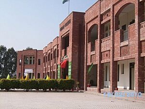 Chenab College Chiniot 01