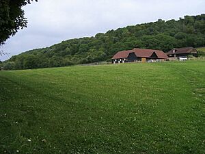 Chinnor Hill - geograph.org.uk - 941459