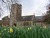 Stone building with prominent square tower. In the foreground are daffodils.