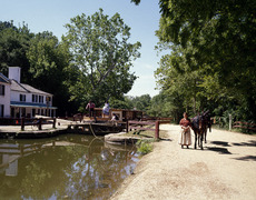 Costumed interpreter with a mule on the canal towpath at the Chesapeake and Ohio Canal Lock 20f
