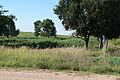 Crossroads Grave (Webster County) 2