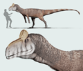 Cryolophosaurus ellioti 2022 Reconstruction