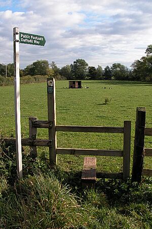Daffodil Way, Dymock - geograph.org.uk - 69563
