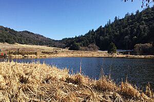 Doane Valley Palomar Mountain