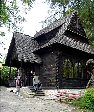 Dom Żeromskiego proj Koszyc Witkiewicz Nałęczów