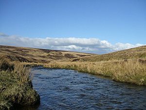 Elvan Water - geograph.org.uk - 1225048