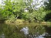 Epping Forest, Strawberry Hill Pond - geograph.org.uk - 548653.jpg