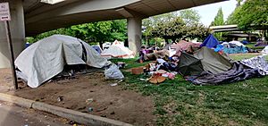 Eugene Homeless Camp