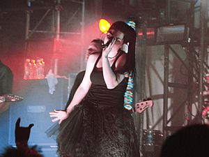 Evanescence concert