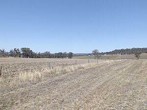 Fields at Broxburn