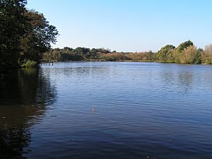 Furnace Pond, Horsmonden