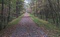 G R T 2004 Trail Long Straight