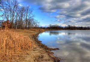 Gfp-illinois-beach-state-park-left-shoreline