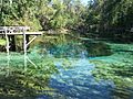 Gilchrist Blue Spring (Gilchrist County, FL) (1912370232)