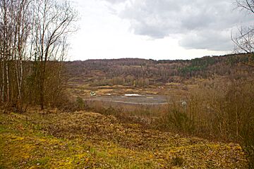 Grube Messel, Weltnaturerbe - panoramio.jpg