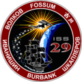 ISS Expedition 29 Patch