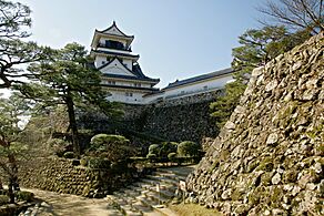 Kochi Castle08s3872