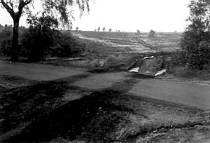 Lüneburger Heide 1960 003