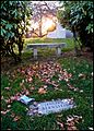 Leonard Bernstein Grave, Sunset, Green-Wood Cemetery
