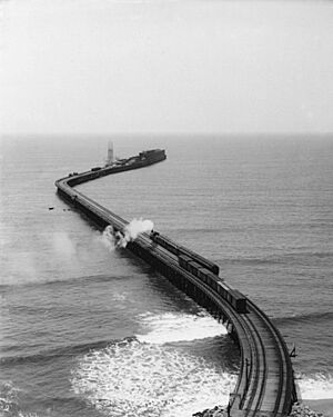Long Wharf, California c. 1890s (1996.0009.M275)