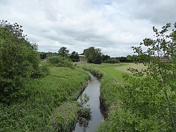 Lyme Brook from the A500 (geograph 5002718).jpg
