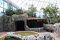 Maya Ruins
