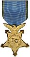 NAl - Large Medal