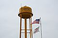 Niantic Illinois Water Tower