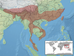 Ovophis monticola distribution.png